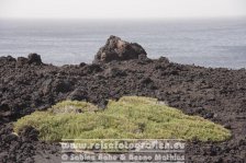 Spanien | Kanaren | Lanzarote | bei El Golfo |