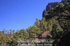 Spanien | Kanaren | Provinz Santa Cruz de Tenerife | La Palma | El Paso | Caldera de Taburiente | La Cumbrecita |