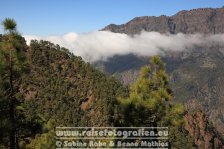 Spanien | Kanaren | Provinz Santa Cruz de Tenerife | La Palma | El Paso | Caldera de Taburiente | La Cumbrecita |