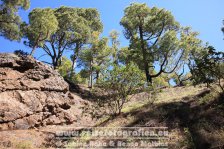 Spanien | Kanaren | Provinz Santa Cruz de Tenerife | La Palma | El Paso | Caldera de Taburiente | La Cumbrecita |