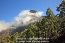 Spanien | Kanaren | Provinz Santa Cruz de Tenerife | La Palma | El Paso | Caldera de Taburiente | La Cumbrecita |