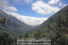Spanien | Kanaren | Provinz Santa Cruz de Tenerife | La Palma | El Paso | Caldera de Taburiente | La Cumbrecita |