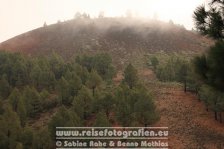 Spanien | Kanaren | Provinz Santa Cruz de Tenerife | La Palma | El Paso | Pico Barquita |