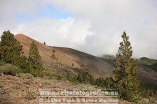 Spanien | Kanaren | Provinz Santa Cruz de Tenerife | La Palma | El Paso | Pico Birigoyo |