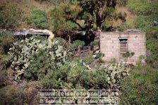 Spanien | Kanaren | Provinz Santa Cruz de Tenerife | La Palma | El Paso | Caldera de Taburiente | Barranco de las Angustias |