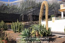 Spanien | Kanaren | Provinz Santa Cruz de Tenerife | La Palma | Los Llanos de Aridane | Puerto Naos |