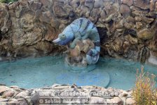 Spanien | Kanaren | Provinz Santa Cruz de Tenerife | La Palma | Los Llanos de Aridane | Las Manchas | Plaza La Glorieta |