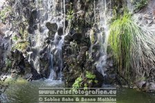 Spanien | Kanaren | Provinz Santa Cruz de Tenerife | La Palma | Los Llanos de Aridane | Parque Antonio Gómez Felipe |