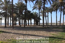 Spanien | Autonome Gemeinschaft Andalusien | Torremolinos |