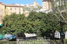 Spanien | Autonome Gemeinschaft Andalusien | Granada |