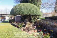 Spanien | Autonome Gemeinschaft Andalusien | Granada | Alhambra |