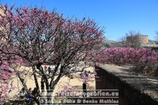 Spanien | Autonome Gemeinschaft Andalusien | Granada | Alhambra |