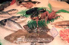 Spanien | Cataluña | Barcelona | El Raval | Mercat de la Boqueria |