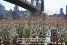 USA | New York | New York City | Manhattan |