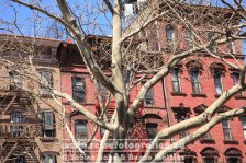 USA | New York | New York City | Manhattan |