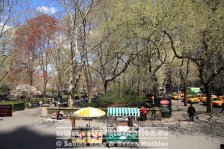 USA | New York | New York City |  Manhattan | Central Park |